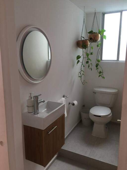 Cozy Apartment In Condesa'S Heart ! Mexico City Ngoại thất bức ảnh