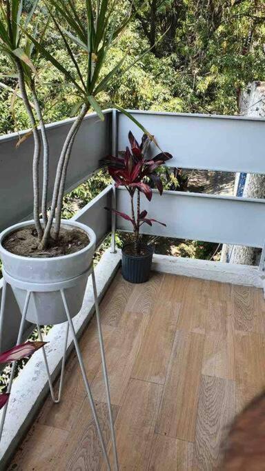 Cozy Apartment In Condesa'S Heart ! Mexico City Ngoại thất bức ảnh