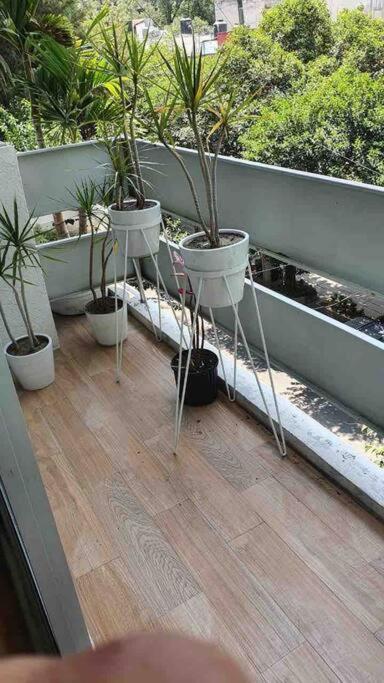 Cozy Apartment In Condesa'S Heart ! Mexico City Ngoại thất bức ảnh